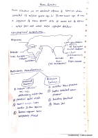 H. Erectus.pdf